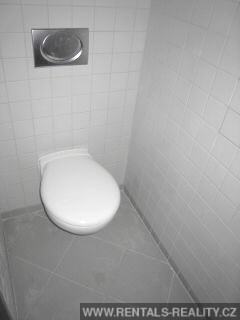Pic 12