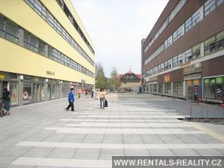 Pic 19
