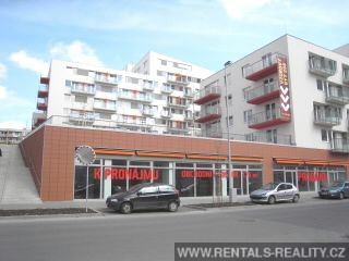 Pic 8