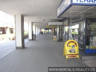 Pic 10