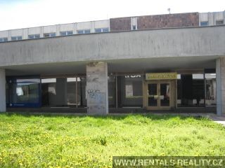 Pic 11