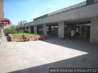 Pic 12