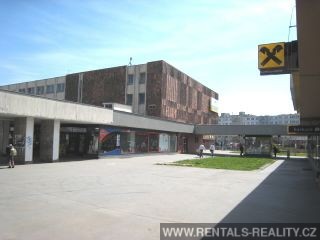 Pic 13