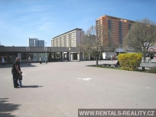 Pic 15
