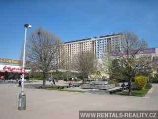 Pic 16