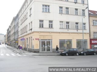 Pic 11