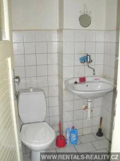 Pic 19