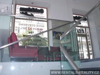 Pic 7