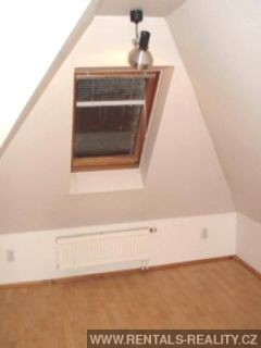 Pic 11