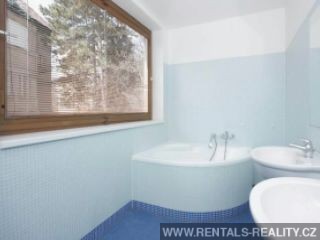 Pic 11