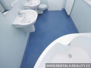Pic 12
