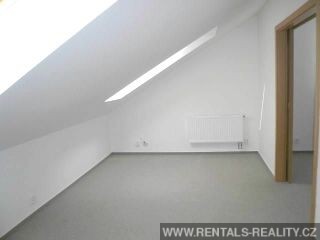 Pic 11