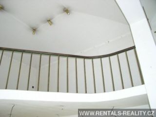 Pic 7