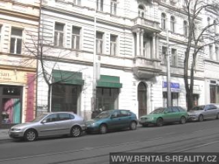 Pic 11