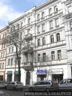 Pic 13