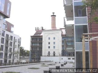 Pic 15