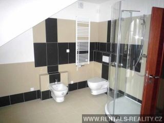Pic 11