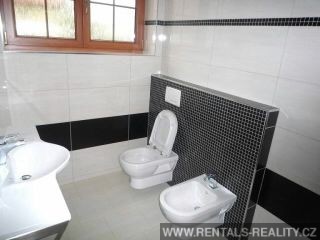 Pic 12