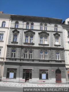 Pic 11