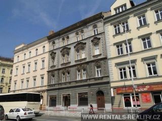 Pic 15