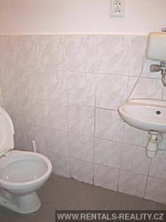 Pic 11