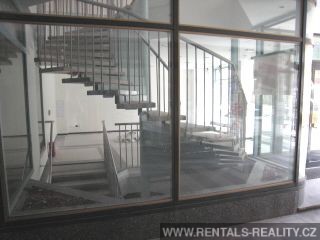 Pic 10
