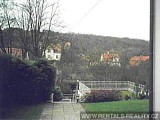 Pic 8