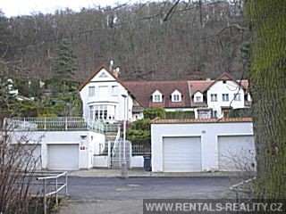 Pic 11