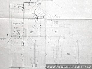 Pic 6