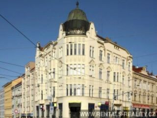 Pic 10