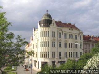 Pic 12