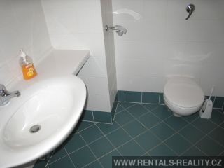 Pic 13