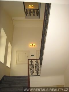 Pic 19