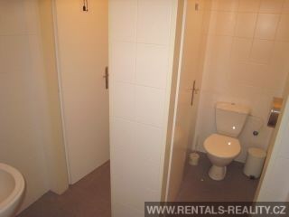 Pic 11