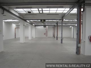 Pic 16