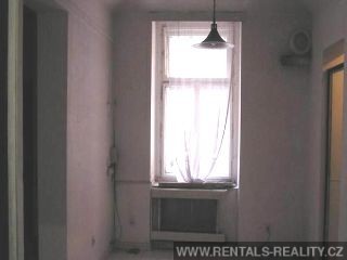 Pic 11
