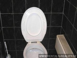 Pic 14