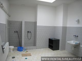 Pic 8