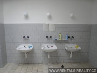 Pic 9