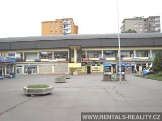 Pic 10