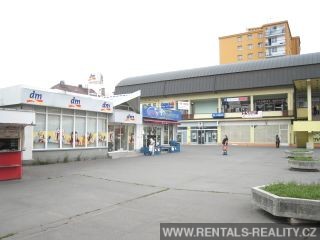 Pic 11