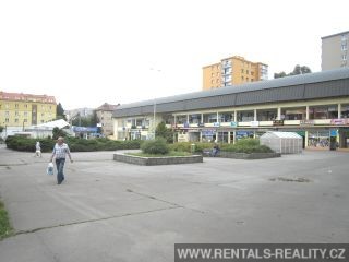 Pic 14