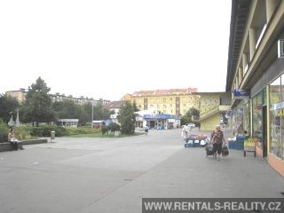 Pic 16