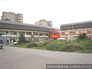 Pic 17