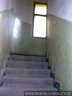 Pic 6