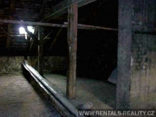 Pic 11