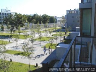 Pic 6