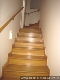Pic 8