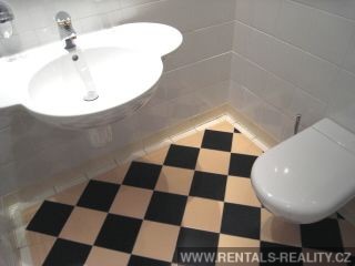 Pic 15