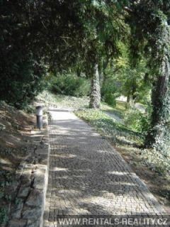 Pic 15